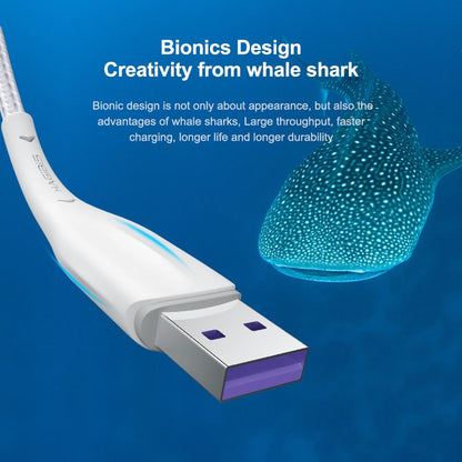 USB-C Cable 5A Fast Charging HAGIBIS