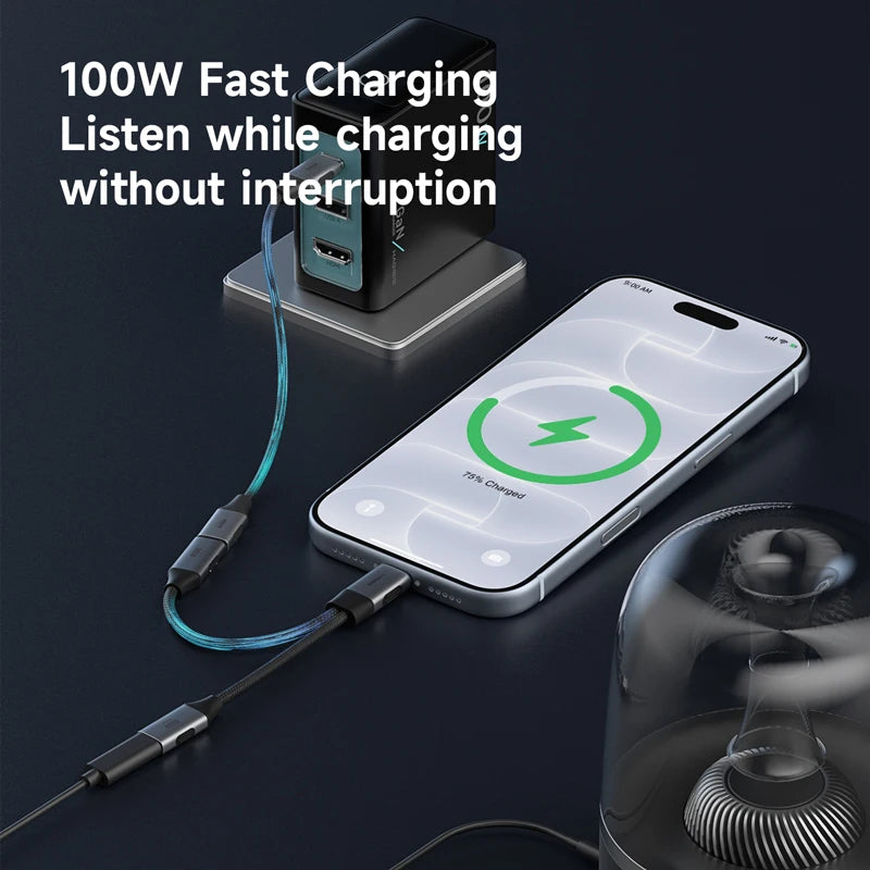 Hagibis USB-C 1-to-2 Splitter 100W PD 10Gbps