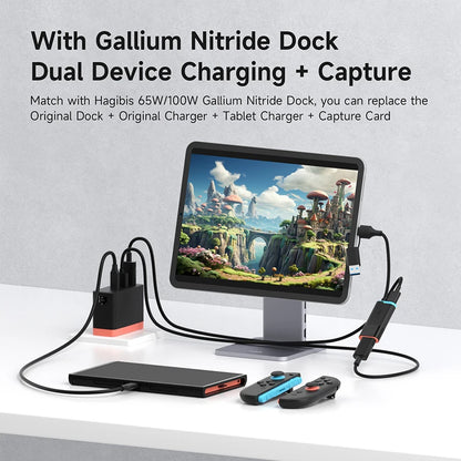 Hagibis USB-C & USB-A HDMI Video Capture Card with 100W PD