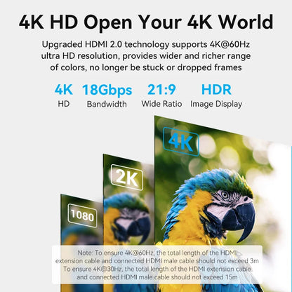 Advertisement for 4K HD technology with a parrot image and technical specifications.